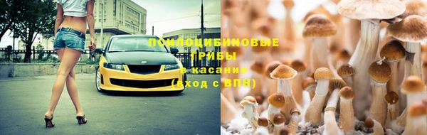 твердый Тында