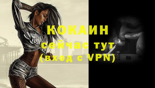 mdpv Богданович