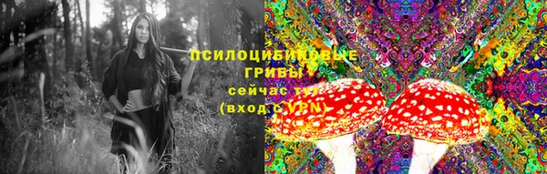 mdpv Богданович